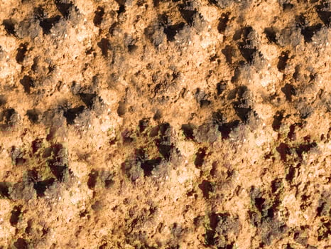 outdoor stone texture photo