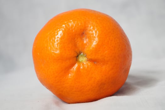 A large orange on a white background photo