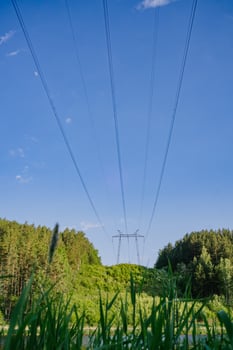 View of Power Lines from Riverbank photo