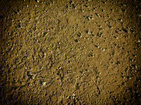 Dark Earth Texture In The Garden photo