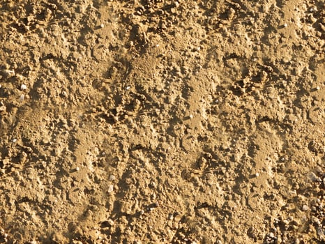 outdoor ground texture photo