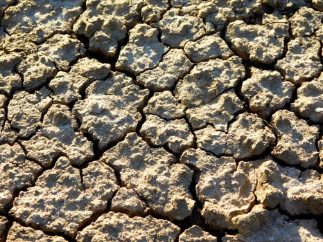 Arid land outdoor photo