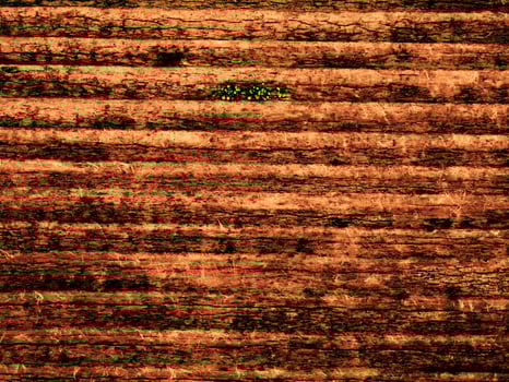 Dark Brown Wood Texture photo