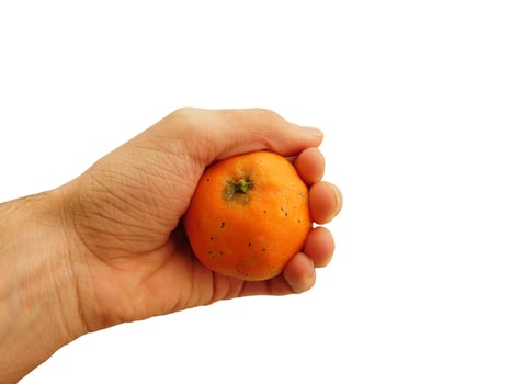 Carrots on hand photo