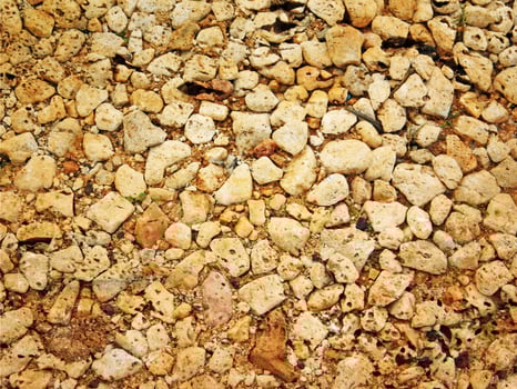 outdoor stone texture photo
