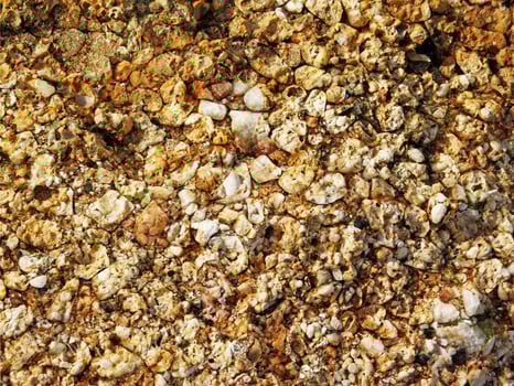outdoor stone texture photo