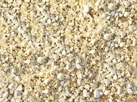 Stone Texture Outdoors In The Garden photo