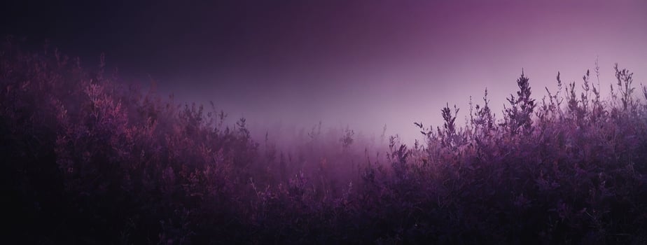 Purple flowers in the fog at night photo