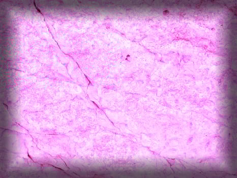 Pink Marble Texture photo