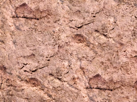 Outdoor stone texture photo