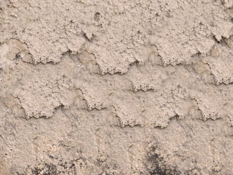 Stone light texture outdoors photo