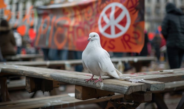 White pigeon perched on a wooden bench with a peace banner hanging in the background at a peaceful protest rally photo