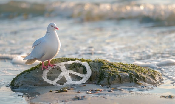 White pigeon standing on a moss-covered rock with a peace symbol drawn in the sand photo