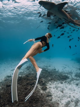 Woman freediver in tropical sea swim with nurse sharks in Bahamas photo