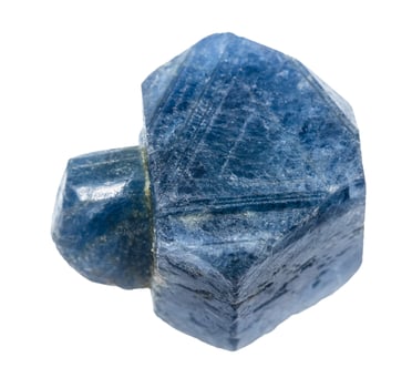raw blue sapphire crystal with branch isolated photo