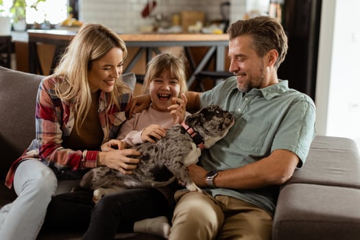 Family bonding time with playful french bulldog pup in cozy living room photo