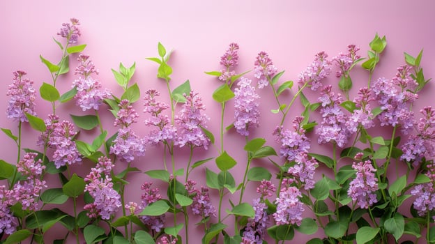 AI generated Cluster of Purple Flowers on Pink Background photo