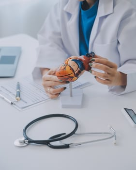Doctor explaining heart to elderly patient. Doctor explaining the heart model. Doctors pen point to a model of the heart photo