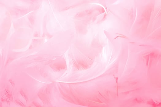 Exquisite Vintage Aesthetic, Pink and White Fluffy Feathers Texture, Graceful Swans' Plumage. photo