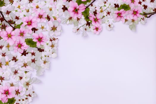 Graceful Harmony Beautiful Cherry Blossom on Blank Paper, Capturing Timeless Beauty and Serenity, Perfect for Artistic Presentations and Creative Projects photo