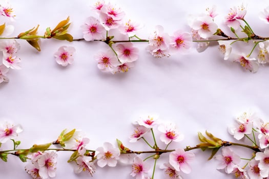 Graceful Harmony Beautiful Cherry Blossom on Blank Paper, Capturing Timeless Beauty and Serenity, Perfect for Artistic Presentations and Creative Projects photo