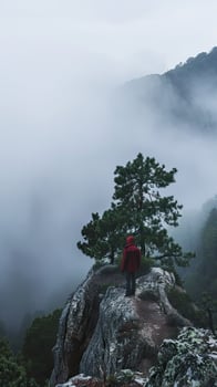 Misty Mountain Morning Landscape photo