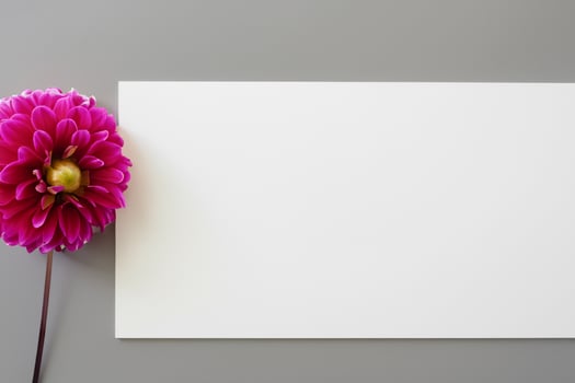 Cute Flower on White Background A Delicate Blossom in Serene Simplicity, Nature's Charming Creation photo
