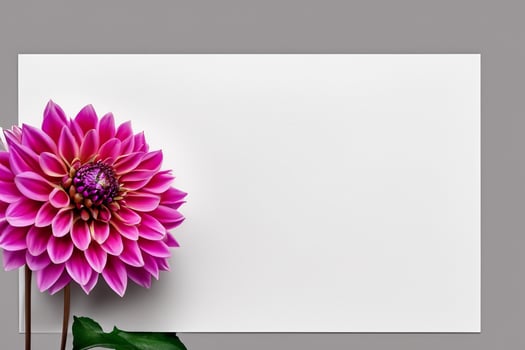 Mockup Cute Flower on White Background A Charming Display of Floral Elegance and Simplicity photo