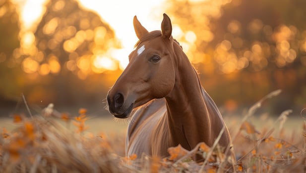 AI generated Majestic horse portrait in golden autumn field at sunset. Equine beauty and freedom concept in nature landscape photo