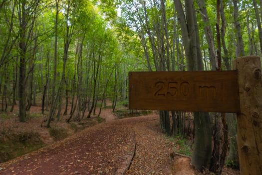 Jogging trail in a forest and distance marker in focus. healthy lifestyle concept photo. photo