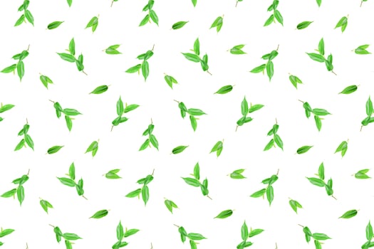 Spring seamless pattern of green leaves photo