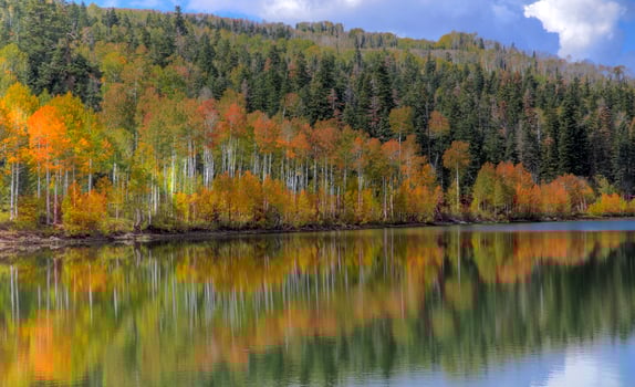 Kolob Autumn Reflection photo