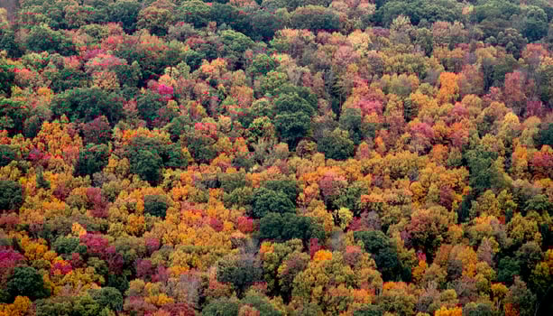 Pennsylvania Fall Colors photo