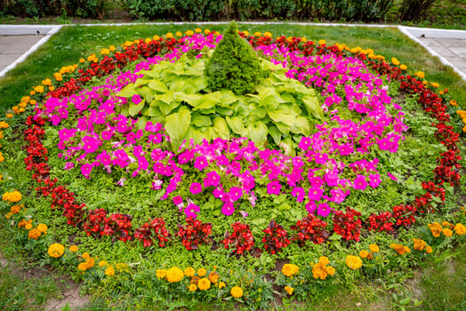 Colorful flowers in the garden. Cropped photo. Summer landscape. Pink, yellow white flowers and green grass. photo