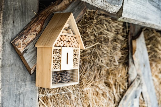 Wooden insect house decorative bug hotel photo