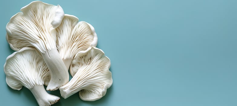 AI generated Oyster mushroom pleurotus ostreatus on soft pastel colored background for serene composition photo