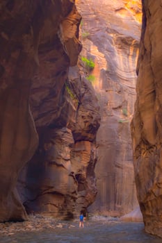 Zion National Park Narrows photo