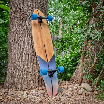 cruising longboard against tree photo