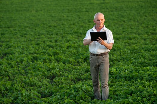 Agronomist inspecting soya bean crops growing in the farm field. Agriculture production concept. young agronomist examines soybean crop on field in summer. Farmer on soybean field photo