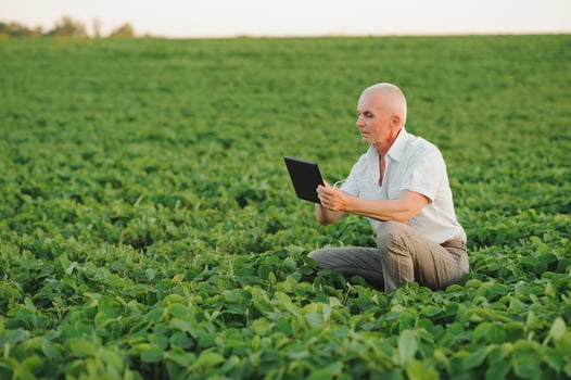 farmer in filed holding tablet in his hands and examining soybean corp. photo