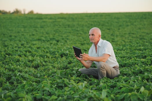 Agronomist inspecting soya bean crops growing in the farm field. Agriculture production concept. young agronomist examines soybean crop on field in summer. Farmer on soybean field photo