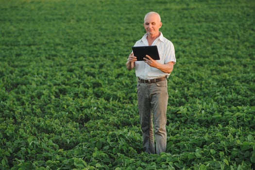 farmer in filed holding tablet in his hands and examining soybean corp. photo