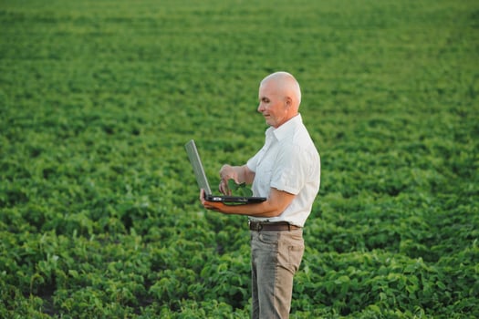 Senior farmer standing in soybean field examining crop at sunset. photo