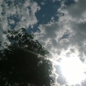 The sky seemed very cloudy. photo