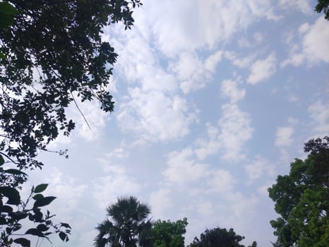 Trees with blue sky and white clouds for background. Summer holiday concept. photo