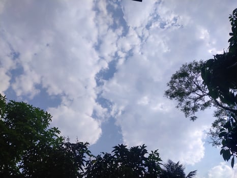 Trees with blue sky and white clouds for background. Summer holiday concept. photo