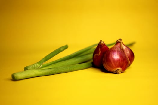 The main ingredient of the dish is shallots and the complementary ingredient is spring onions in one picture.ient onion leaves in one picture photo