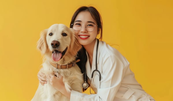 A Chinese female veterinarian, doctor in white is sitting on the table, holding an golden retriever dog with glasses and stethoscope around her neck, smiling at camera, yellow background photo
