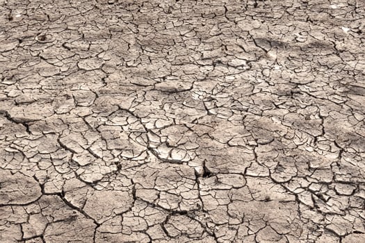 Drought Crisis, Cracked Earth Background. photo