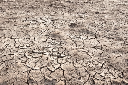 Drought Crisis, Cracked Earth Background. photo